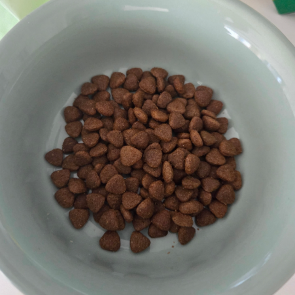 dog food – salmon recipe dog food – salmon recipe